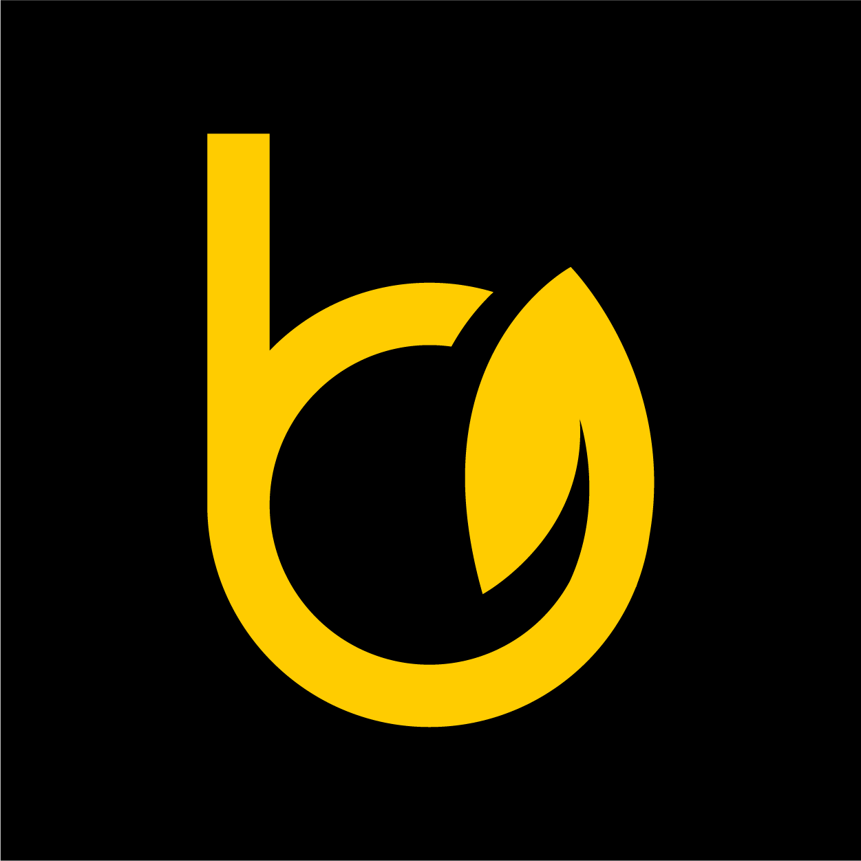 Portfolio Logo 9
